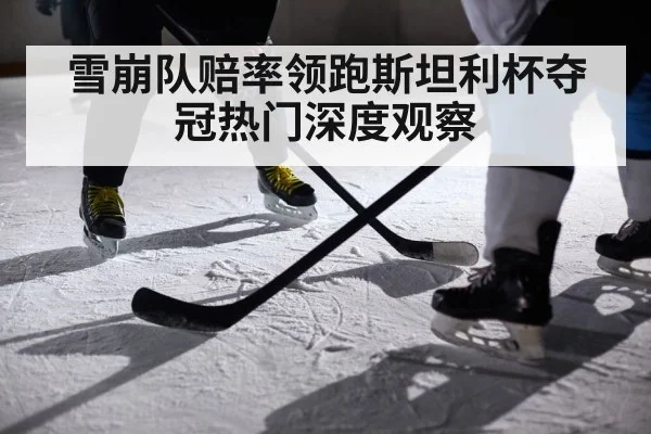 ice hockey players